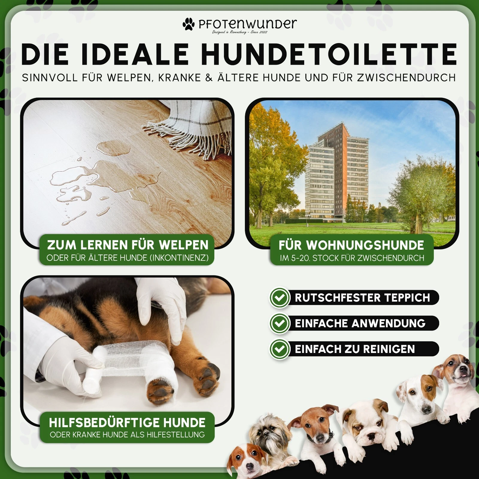 Bild 8 von 12
