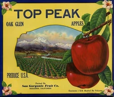 Top Peak Brand Apple Crate Label  California Oak Glen Apples