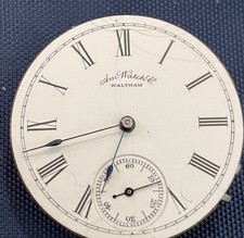  on The Hot Collector