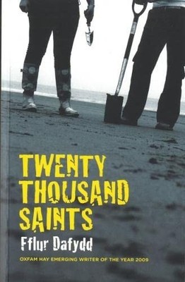 Twenty Thousand Saints by Fflur Dafydd 0955527228 FREE Shipping