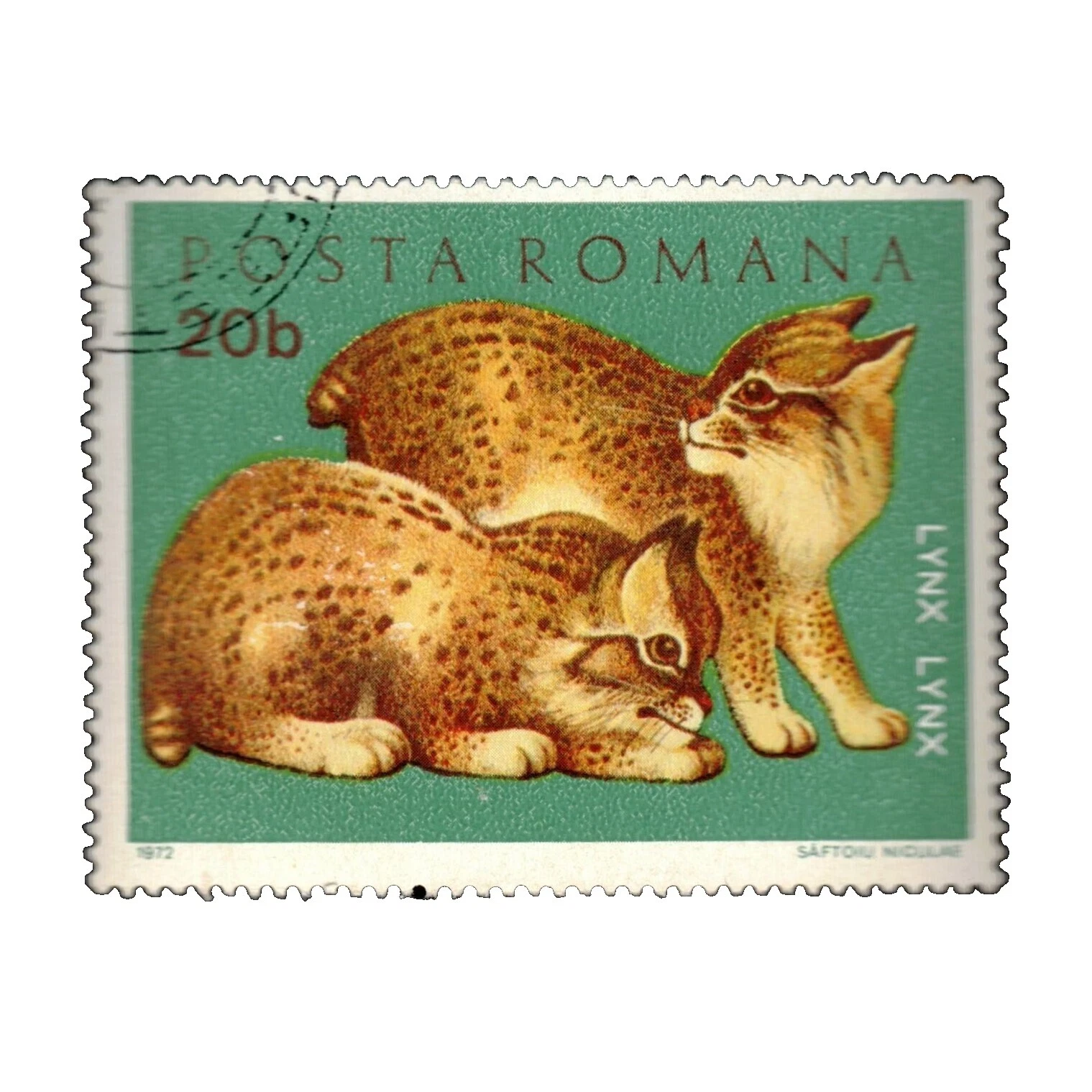 Gatos Sellos rumana usado