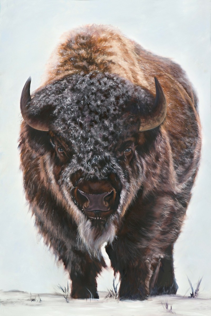 Bison Paintings Antoine Louis Barye Bison Lying Down The