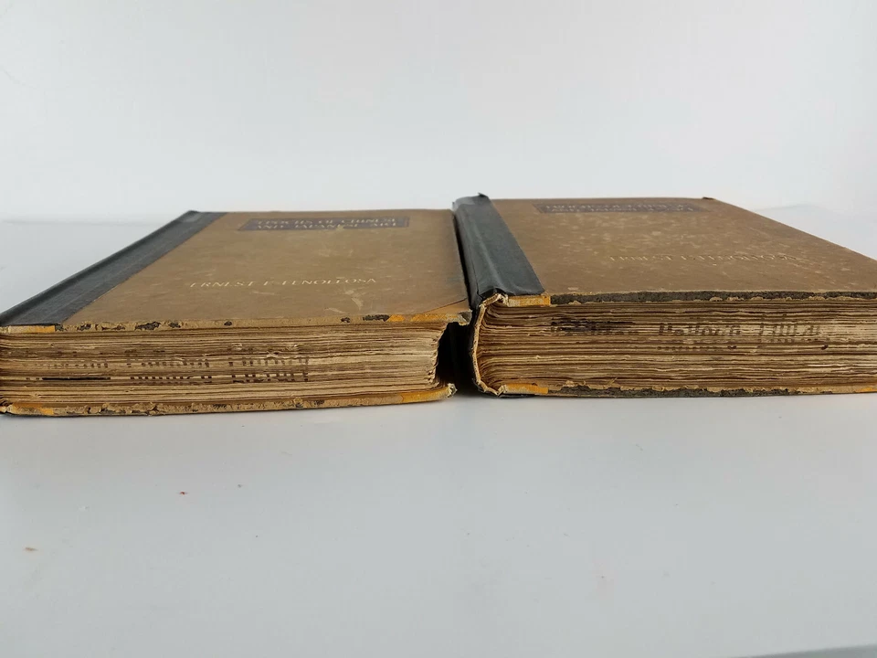 Epochs Of Chinese and Japanese Art Ernest F. Fenollosa 1913 New Edition Foto 2 de 4