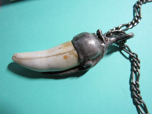 Alligator Tooth Necklace Swamp People Special Edition "Choot Em" #381
