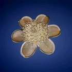 Gold-tone Mesh Blooming Flower Brooch. 2". Quality Costume Jewelry.  — photo 2