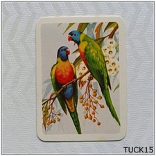 Tuckfield's Australiana Bird Studies #78 Rainbow Lorikeet (Tuck15)