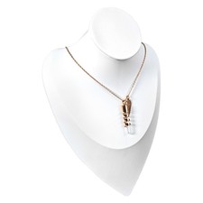 Pet Ashes Memorial Urn Necklace with Clear lass Tube For Dogs  Cats Rose Gold 