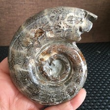 291g natural beautiful polishing Stone sculptor decoration fb1379