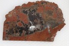 Priday Plume Agate Thunderegg lapidary 3.6 oz slab rough — photo 7