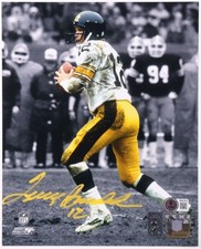 Pittsburgh Steelers Collecting and Fan Guide 77