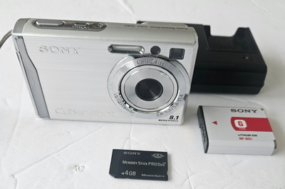 Sony Cyber-shot DSC-W90 8.1MP Digital Camera Silver w/ Charger