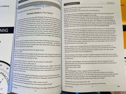 CS Education OC Placement Test Strategies by categories pk of 3 Thinking Skills - Picture 11 of 13