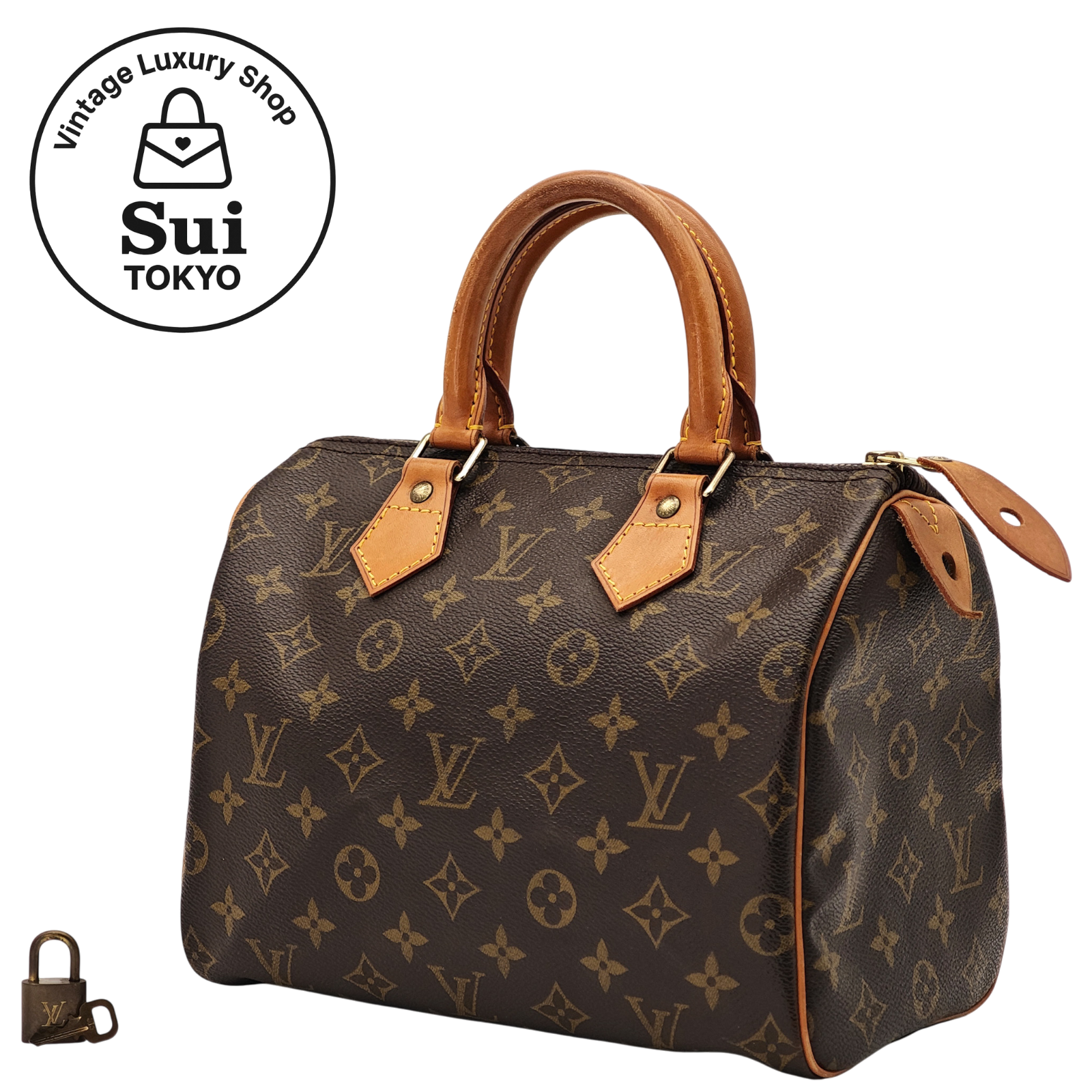 LOUIS VUITTON Speedy 25 Monogram Handbag Mini Boston M41109 Brown