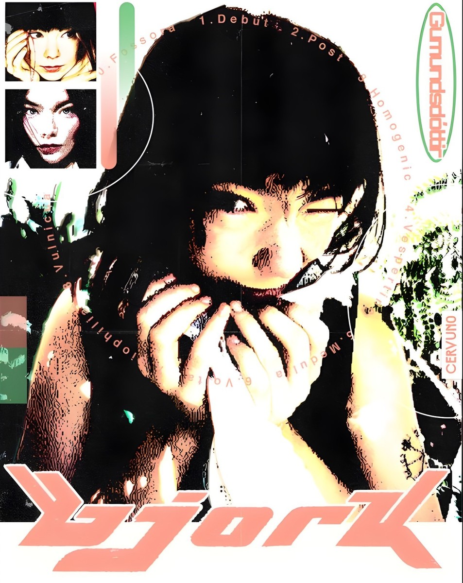 11x14 Bjork Poster Vintage Homogenic | eBay