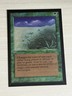 MTG International  Collector's Edition  Lifelace  Mint Never Played