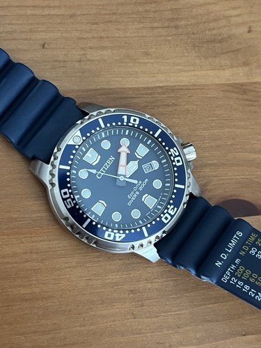 Citizen Promaster Diver Men's Eco Drive Watch