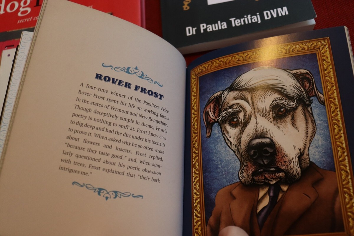 dr klows y paperbooks Dog Book lot x 3 Dogs Hardback & Softback Books Poetry Confessions and Vet Diary Size:2.2 lbs / 1 kg