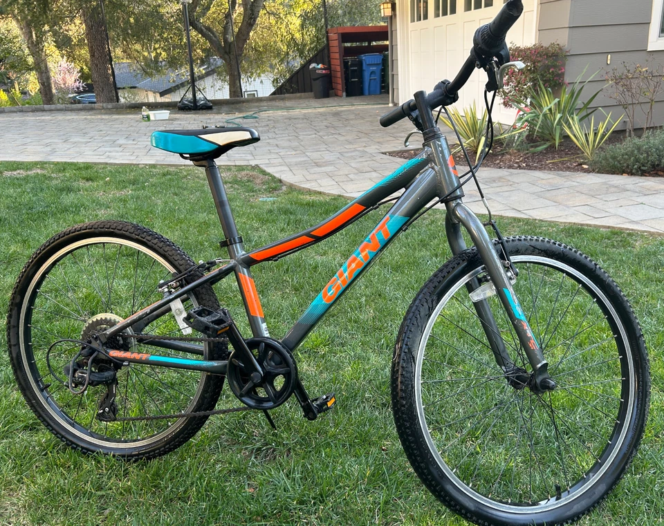 Bicicleta de montaña gigante para niños, buen estado, edades 7-10, 7 velocidades Foto 3 de 3