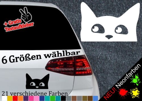 Katzenkopf Aufkleber Sticker lustig Spaß Miau Kitty süß Maus Heck Funny JDM DUB - Bild 1 von 26