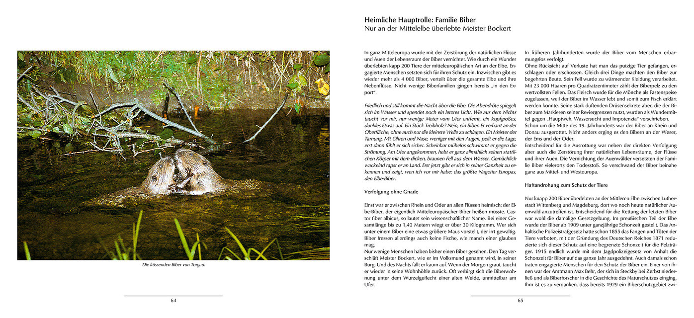 Thumbnail - Wunder Der Elbe Ernst Paul Dörfler