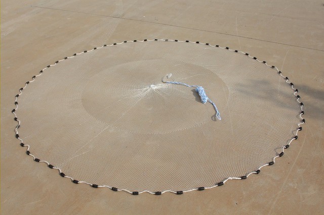 Fisch Netz Abfischen Forelle Zander Karpfen online