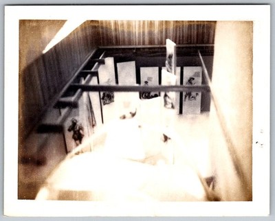 Vtg B&W Snapshot Art Gallery Museum Display Exhibition Panels High Angle View