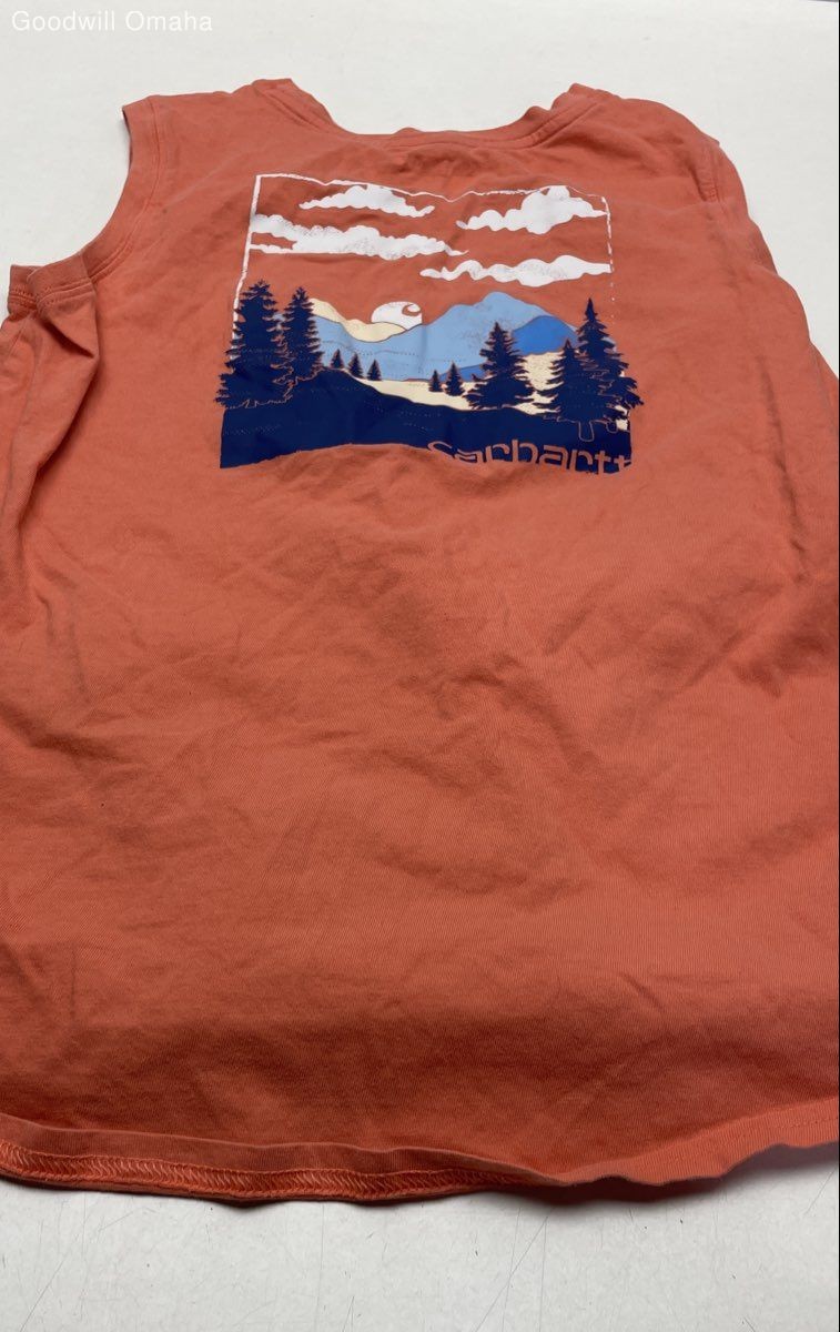 Carhartt Mixed Lot of Baby/Children's Clothes Pre-Owned 6M-XL thumbnail 5