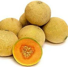 Cantaloupe Sugar Cube  100 seeds