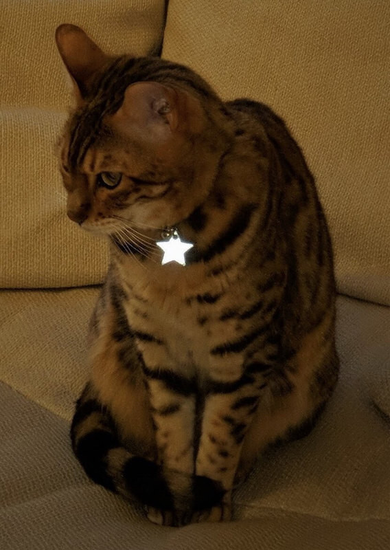 Kittyrama Cat Collar Charm Reflective Glow in the Dark Tag Accessory