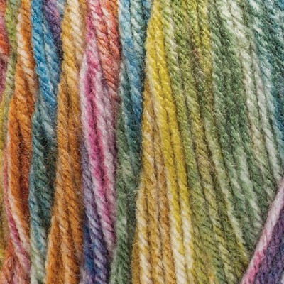 Red Heart  Rainbow Connection Blanket Knit Kit