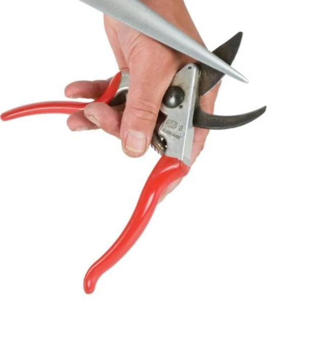 Trend® DWS/TF6/F 6' lima cónica de diamante grano fino 600 para tienda y hogar Foto 4 de 4