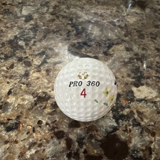 RAM PRO 360 4 Surlyn Golf Ball White Hand Painted Bird Design for Golf Players