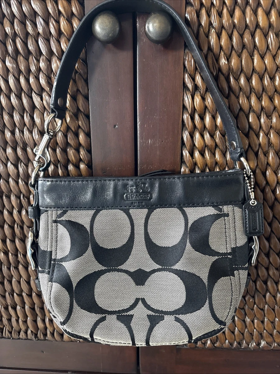 Coach Zoe Leather Exterior Small Bags & Handbags for Women for