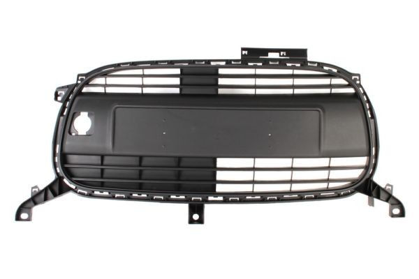 BLIC 6502-07-0501991Q Radiator Grille for CITROËN