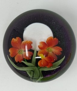Justin Lundberg Beautiful 1997 Orange Cosmos Flowers Over Moon Sky Paperweight
