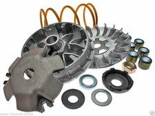 9931650 VARIATORE TOP MINARELLI ORIZZONTALE E VERTICALE 50