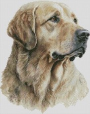 Complete Counted Cross Stitch Kit Golden Retriever Dog 1