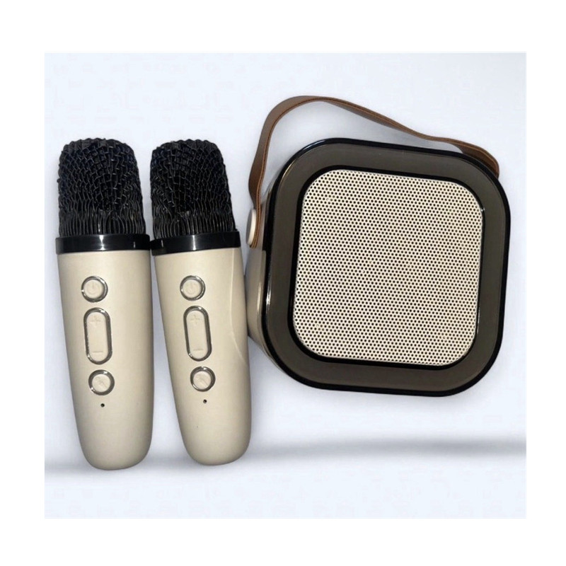 Portable Mini Karaoke Set Dynamic RGB USB-C Bluetooth Speaker & Microphones