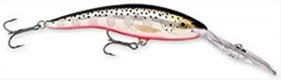 Rapala Deep Tail Dancer 11 Fishing Lure 4.375'' Silver Flash Deep Diving