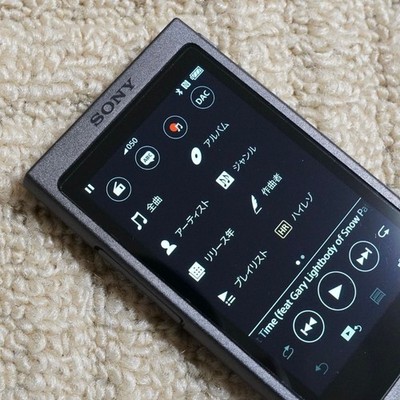 Sony NW-A45 Grayish Black (16GB) Digital Media Player for sale