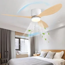 Modern LED Ceiling Fan Lights with Remote Control