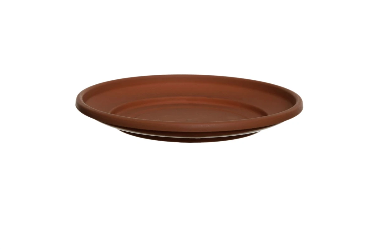 Large on sale plant saucer