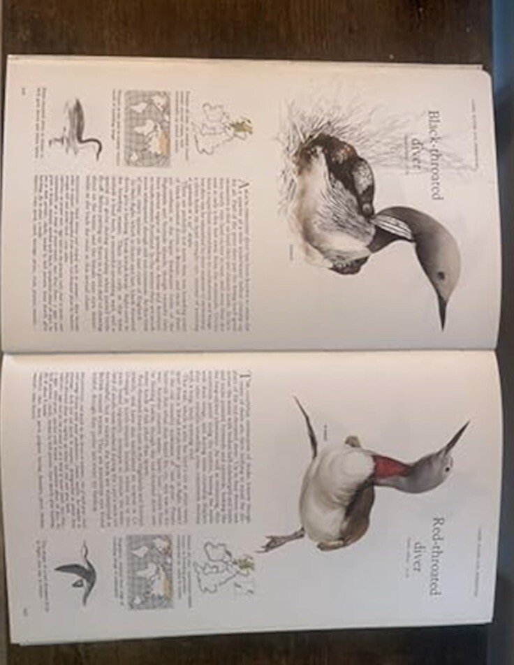 Book of British Birds. Hardcover image 3
