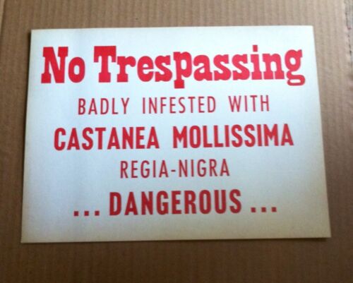 Antique Sign " No Tresspassing Badly Infested With Castanea Mollissima Dangerous - Picture 1 of 2