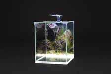 diversa NEOlight 20 plant -  Aquarium Set 25x25x30cm Nanoaquarium