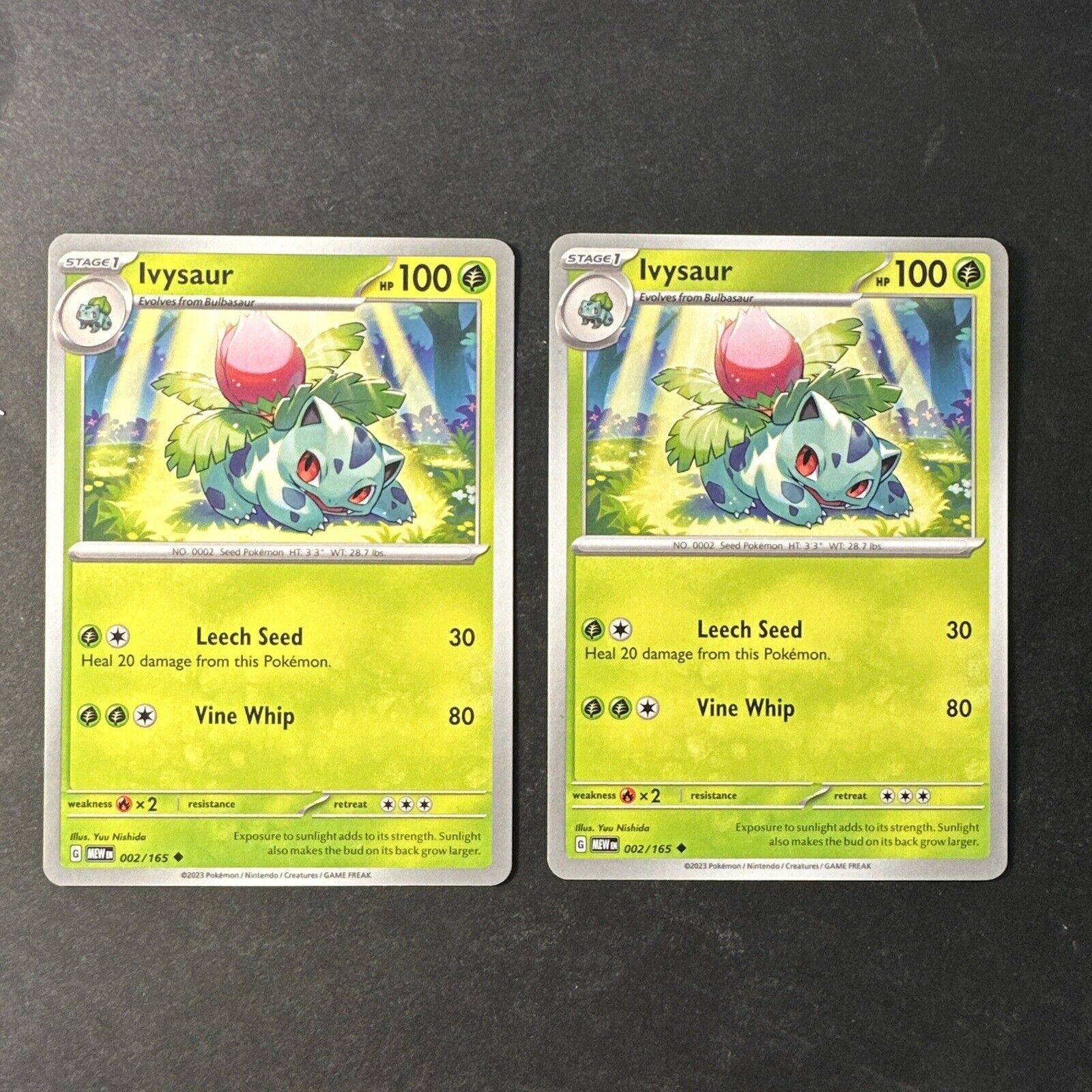 2023 Pokémon 151 Ivysaur 2 /165 English TCG Base Card