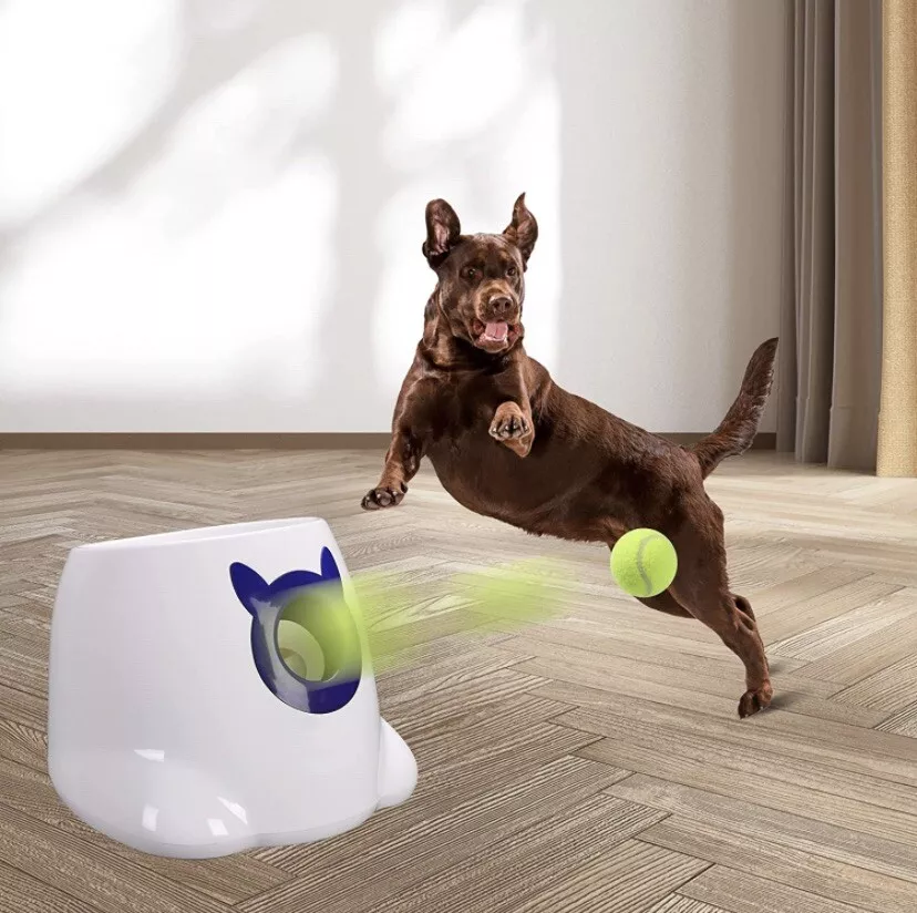 Ball thrower for clearance small dogs