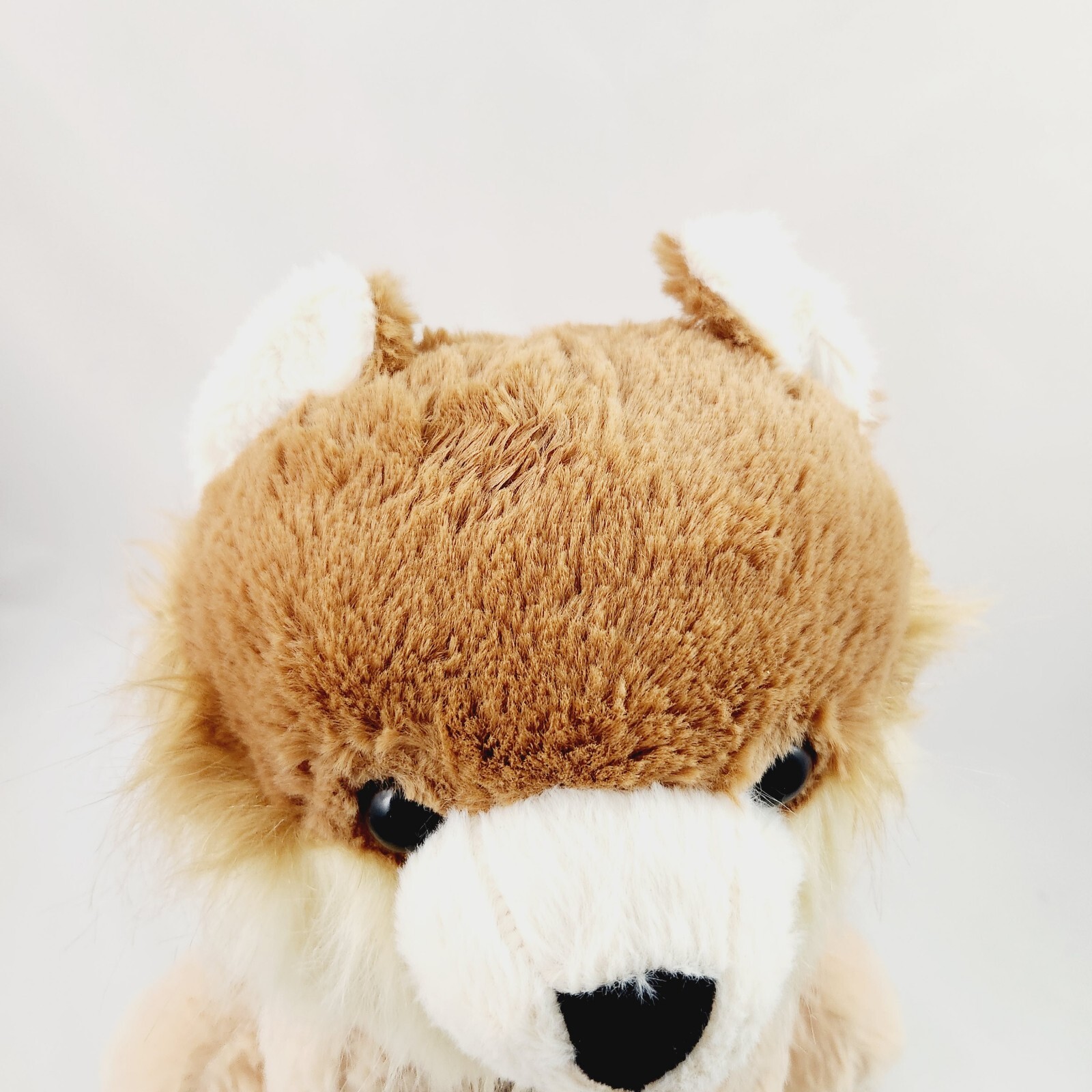 Walgreens Pomeranian Puppy Dog Plush 14" Cream Brown Soft Sitting