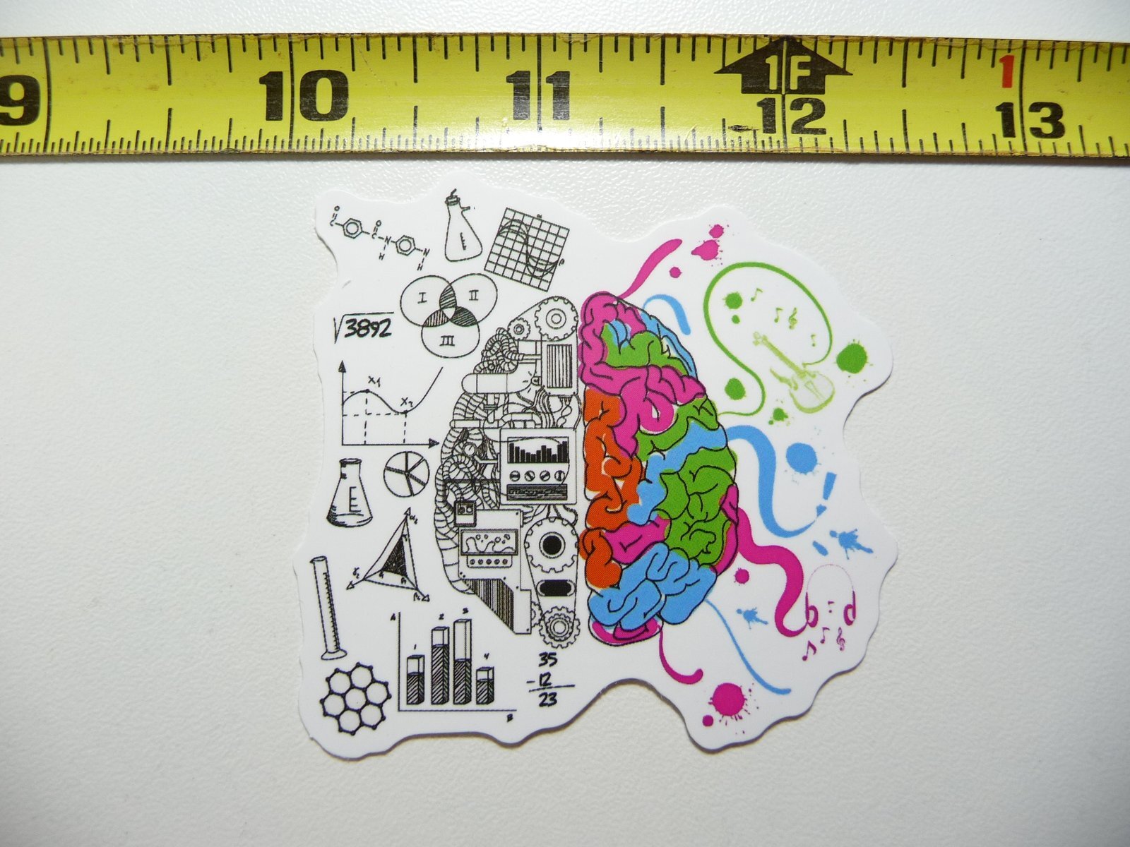 BRAIN SECTIONS CREATIVE REASON DECAL STICKER SCHOOL COLLEGE TEACH TEACHING
