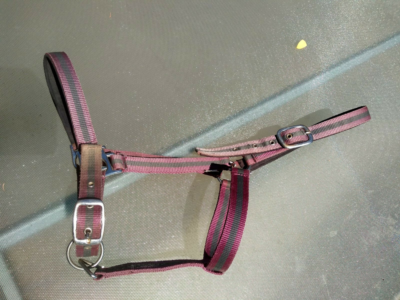 Harnais Pour Cheval De Trait Occasion Le Bon Coin